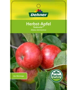 Herbstapfel 'Rubinola' -Blumen Geschaft 7747165 HerbstapfelRubinola Etikett 1