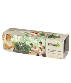 GREENBAR® Kräuterkasten, Ca. B48/H15,5/T16 Cm -Blumen Geschaft 7750482 PR FS 012 GreenbarKastenAnthrazitDehnerExpressHerzig