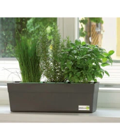 GREENBAR® Kräuterkasten, Ca. B48/H15,5/T16 Cm -Blumen Geschaft 7750482 PR MO 001 GreenbarAnleitungIndoorSeidl