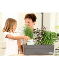 GREENBAR® Kräuterkasten, Ca. B48/H15,5/T16 Cm -Blumen Geschaft 7750482 PR MO 002 GreenbarAnleitungIndoorSeidl