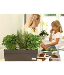 GREENBAR® Kräuterkasten, Ca. B48/H15,5/T16 Cm -Blumen Geschaft 7750482 PR MO 003 GreenbarAnleitungIndoorSeidl