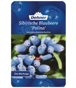 Maibeere -Blumen Geschaft 7756448 SibirischeBlaubeerePolina Etikett 1