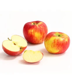 Herbstapfel 'Topaz' -Blumen Geschaft 7763931 WE DE 008 ApfelTopazDehnerExpressHerzig