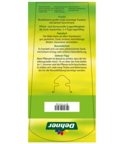 Tafeltraube 'Vanessa' -Blumen Geschaft 7773732 TafeltraubeVanessa Etikett2