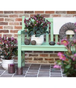 Schneerose 'Ice N' Roses® Red' - Helleborus Gold Collection® 7 Schneerose 'Ice N' Roses® Red' - Helleborus Gold Collection® -Blumen Geschaft 8010969 WE MO 001 HelleborusWeinrotDehnerExpressHerzig