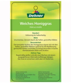 Weiches Honiggras -Blumen Geschaft 8033276 HoniggrasEtikett2