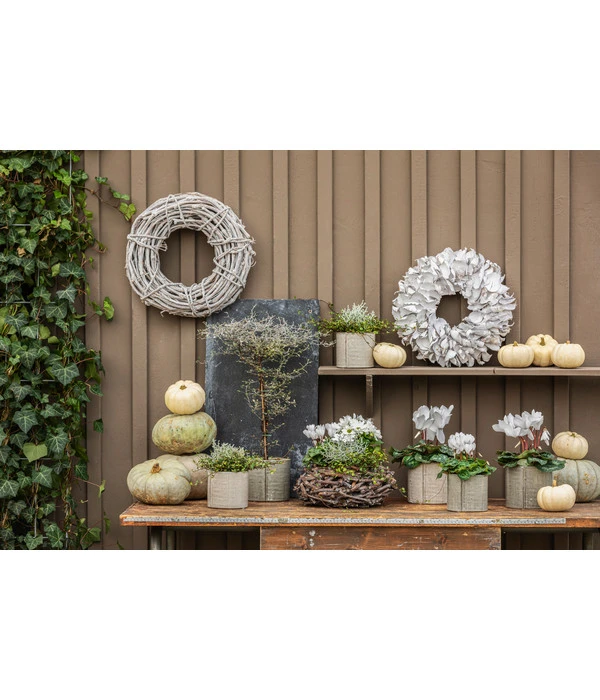 Dehner Kranz Palm Petal Whitewash, Ca. Ø40 Cm 2 Dehner Kranz Palm Petal Whitewash, Ca. Ø40 Cm – Bild 2