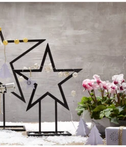 Alpenveilchen, Gefranst -Blumen Geschaft 8217473 WE MO 028 Weihnachtsshooting 2015