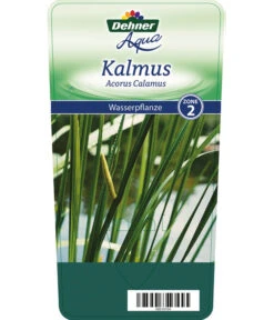 Dehner Kalmus -Blumen Geschaft 8310104 KalmusAcorusCalamus Etikett 1