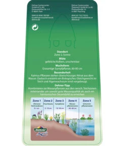 Dehner Kalmus -Blumen Geschaft 8310104 KalmusAcorusCalamus Etikett 2