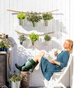 Bio Rosmarin -Blumen Geschaft 8610123 WE MO 001 Oregano Kraeuter 1