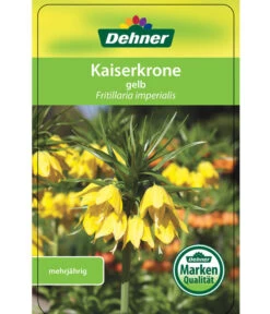 Kaiserkrone -Blumen Geschaft 8664674 KaiserkroneLutea Etikett 01