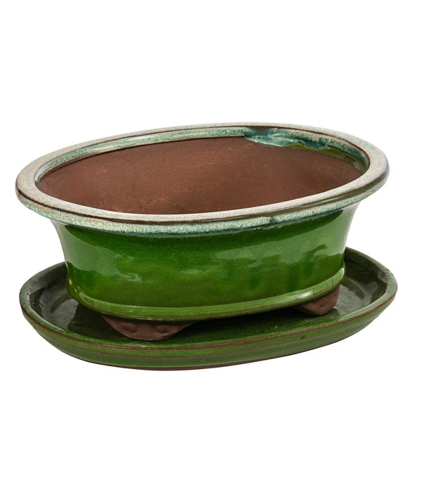 Dehner Keramik-Bonsaischale, Oval, Hellgrün/beige 1 Dehner Keramik-Bonsaischale, Oval, Hellgrün/beige