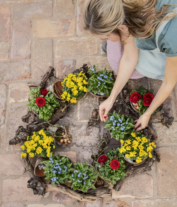 Vergissmeinnicht – Bild 3