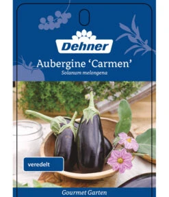 Dehner Gourmet Garten Aubergine, Veredelt -Blumen Geschaft 8830051 GGAubergineCarmen Etikett 1