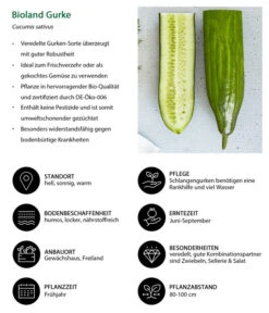 Bioland Gurke, Veredelt -Blumen Geschaft 8830853 WE IG 001 BiolandGurke