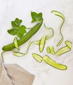 Bioland Gurke, Veredelt -Blumen Geschaft 8830853 WE MO 001 SchlangengurkeveredeltRenner