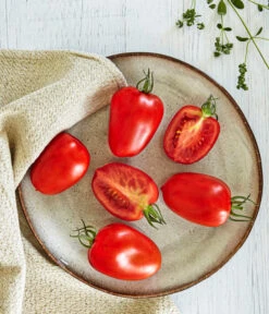 Bioland Eiertomate -Blumen Geschaft 8831463 WE MO 001 BiolandEiertomate