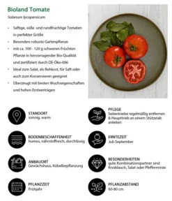 Bioland Tomate, Rundfruchtig -Blumen Geschaft 8842619 WE IG 001 BiolandTomate