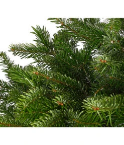 Nordmann-Tanne, Ca. 125-150 Cm, Im Topf Gewachsen 5 Nordmann-Tanne, Ca. 125-150 Cm, Im Topf Gewachsen -Blumen Geschaft 8995946 WE DE 001 AbiesNordmannianaNordmanntanne125 150Co8LDehnerExpressHerzig