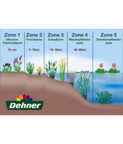 Sumpfcalla -Blumen Geschaft WE DE 001 Teichzonen Wasserpflanzen Schild